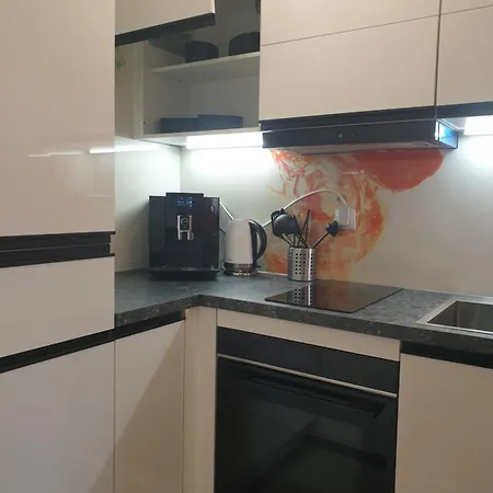 Apartment Perfect For Traveling To Constance And Forest Bregenz